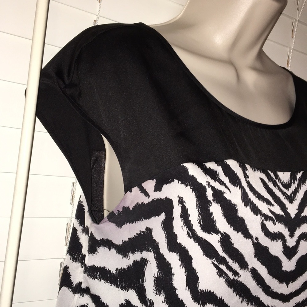 Express Dress - Picture 3 of 6